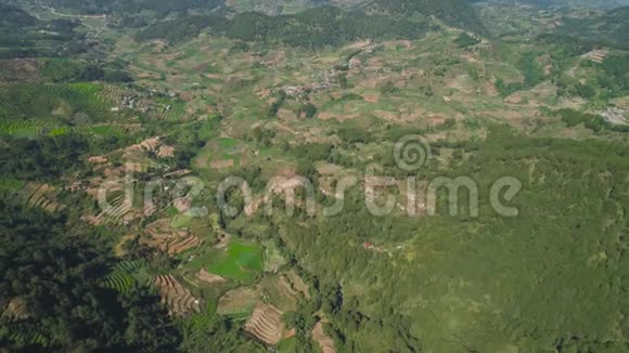 菲律宾卢松山区农田视频的预览图