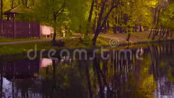 秋天的风景公园里的湖秋季季节视频的预览图