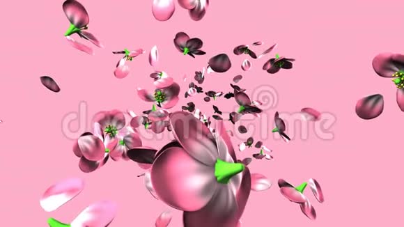 粉红色背景上的粉红色花视频的预览图