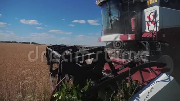 结合收割机收割小麦的生活方式慢动作视频农业收获概念联合收割机视频的预览图