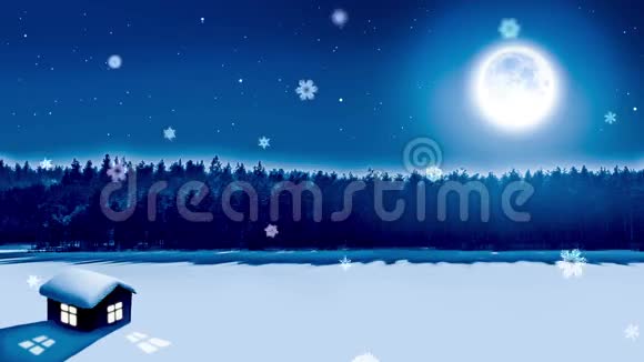 雪花夜景完美5秒循环不褪色视频的预览图