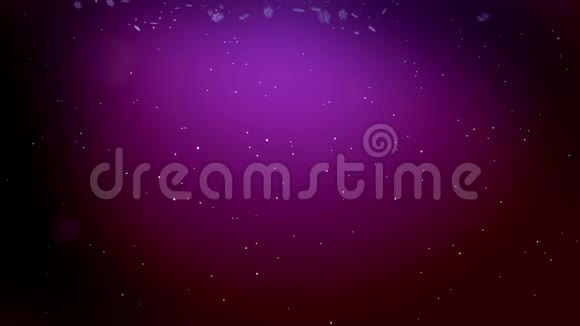 装饰性的3d雪花在空中缓慢飘动在紫色背景下在夜晚发光用作动画视频的预览图