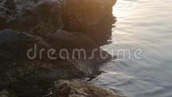 抽象自然夏海背景视频的预览图