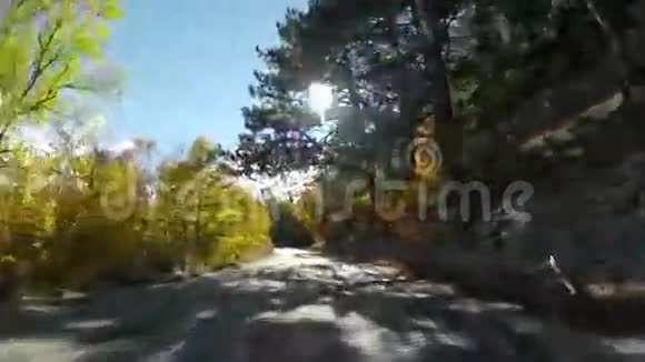 通过森林的风景路线GoPro视频的预览图