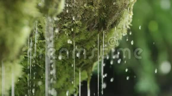 苔藓带球的泉水慢动作特写视频的预览图