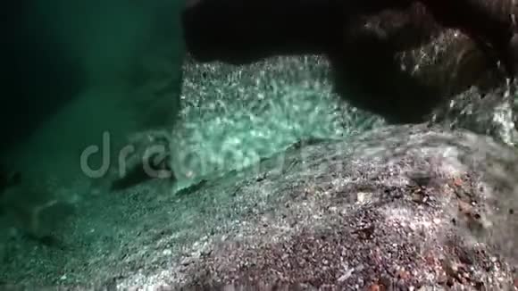 在韦尔扎斯卡河光滑的石头上折射阳光视频的预览图