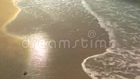 岸上的泡沫水视频的预览图