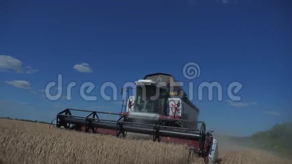 联合收割机收割小麦慢动作视频农业收获概念生活方式田间联合收割视频的预览图