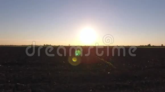 空中拍摄夕阳上绚丽的风景在平原的中央闪耀着太阳视频的预览图