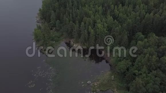 空中旅程森林全景俯视岩石岛和针叶树视频的预览图