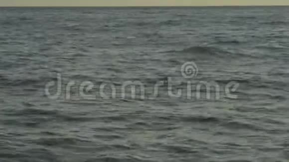日落时的海水特写镜头沙姆沙伊赫埃及视频的预览图