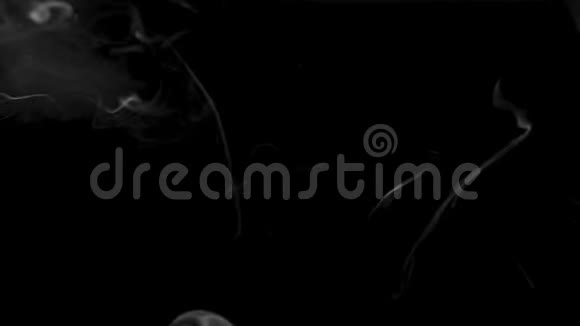 黑底白烟黑底抽象烟视频的预览图