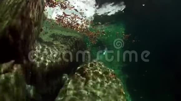 在韦尔扎斯卡河光滑的石头上折射阳光视频的预览图