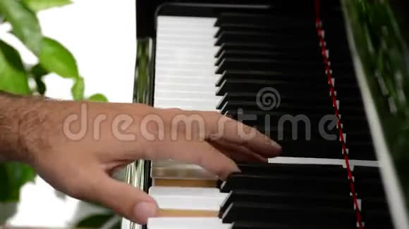 音乐家在音乐会上弹钢琴视频的预览图