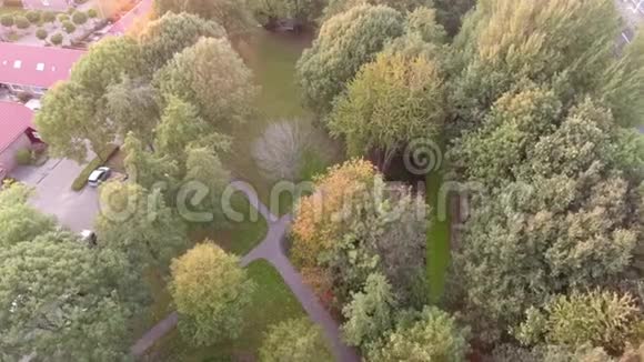 荷兰茨威因德雷赫特市公园秋树的彩色鸟瞰图视频的预览图