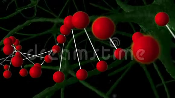 DNA和神经元视频的预览图