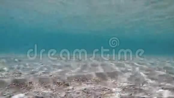 海洋的深度视频的预览图