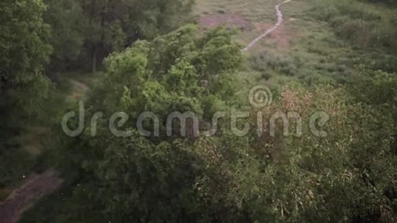 夏天下雪下大雨背景是绿树草小径视频的预览图