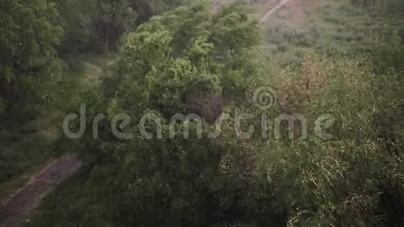 夏天下雪下大雨背景是绿树草小径视频的预览图