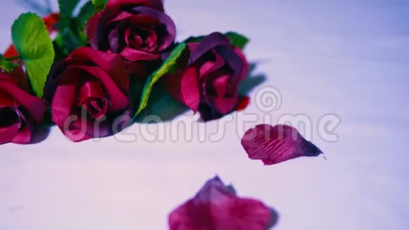 情人节有玫瑰和花瓣的片段视频的预览图