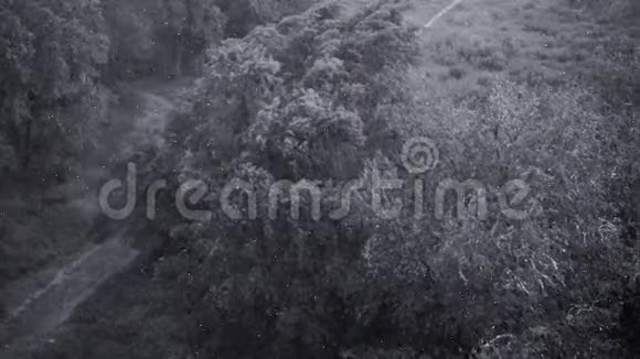 夏天下雪下大雨背景是绿树草小径视频的预览图