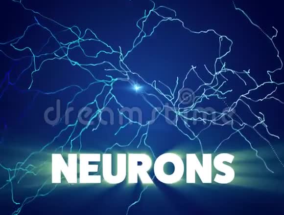 神经元突触神经元神经网络回路脑退行性疾病帕金森视频的预览图