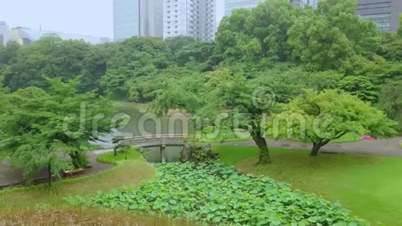 日本东京Korakuen日本花园日本东京2018年6月12日视频的预览图