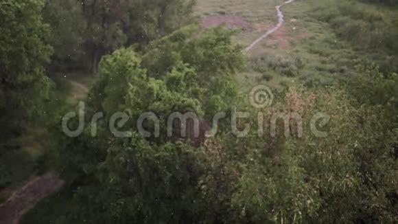 夏天下雪下大雨背景是绿树草小径视频的预览图