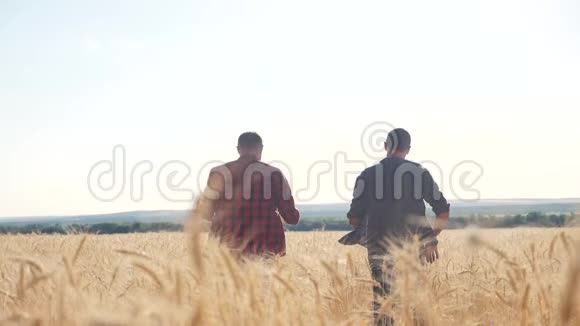 团队合作智能养殖慢动作视频两名农民在麦田工作农民探索正在研究一个男人视频的预览图