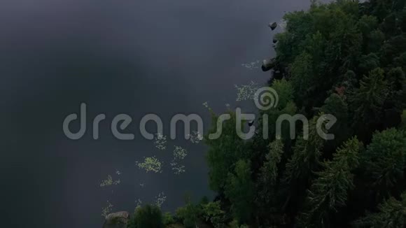 空中旅程森林全景俯视岩石岛和针叶树视频的预览图