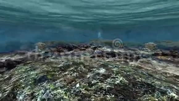 海底数码视频的预览图