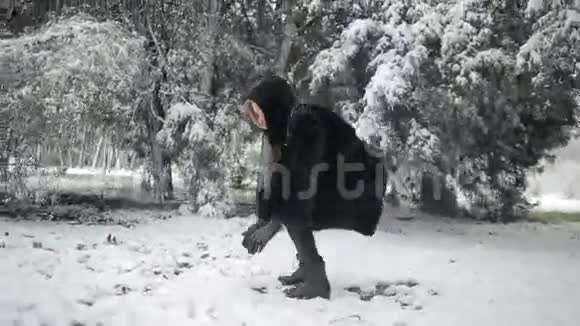 穿着时髦貂皮大衣的年轻美女在冬季公园的背景下视频的预览图