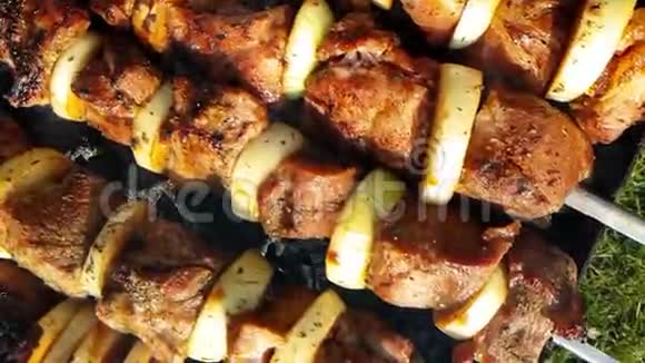 烤架上的烤肉串慢动作烤烟烹饪视频的预览图