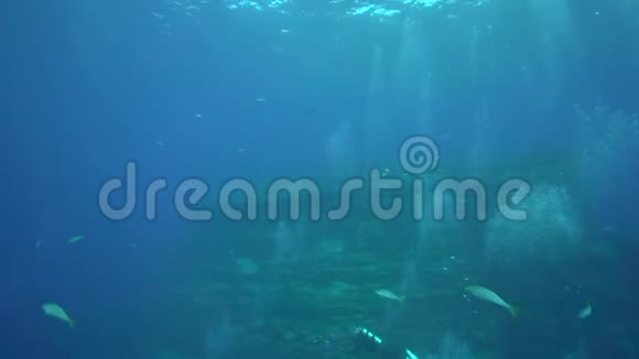 雷维利亚吉多群岛桑贝尼迪克托岛附近的ElBoilier岩石上的潜水员视频的预览图