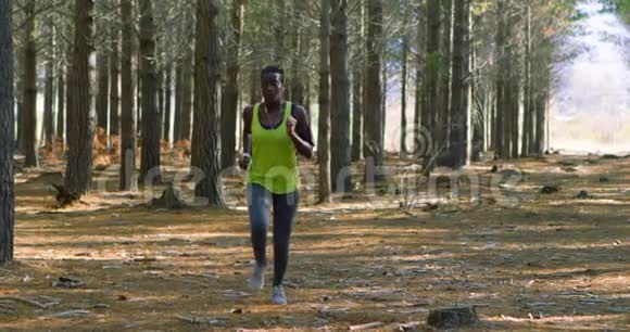 在森林里跑步的女性慢跑者视频的预览图