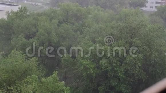 夏天下雪下大雨背景是绿树草小径视频的预览图