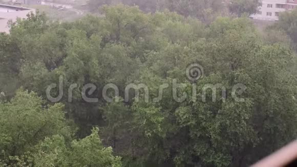 夏天下雪下大雨背景是绿树草小径视频的预览图