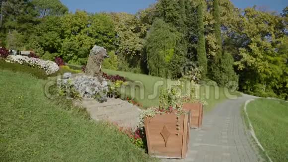 俄罗斯索契市植物园视频的预览图