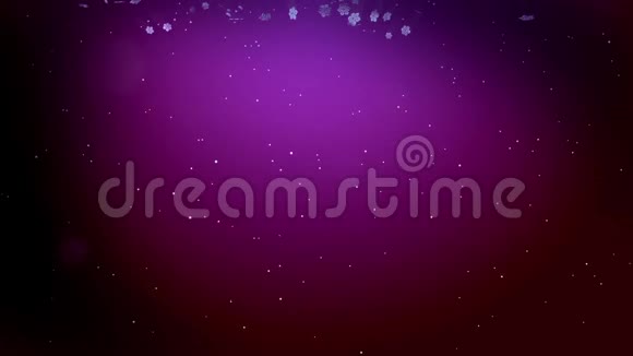 装饰的3d雪花在空气中缓慢地漂浮在紫色的背景上发光作为圣诞动画使用新视频的预览图