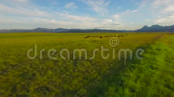 空中蒙大拿乡村视频的预览图
