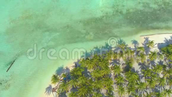 热带海岸的空中景观和许多棕榈树一望无际的绿松石海洋和来自天堂小野的白沙视频的预览图