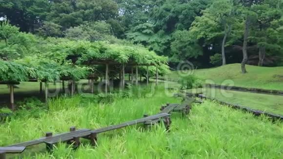 日本东京Korakuen日本花园日本东京2018年6月12日视频的预览图