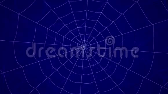 蓝色背景上的同心蜘蛛网视频的预览图