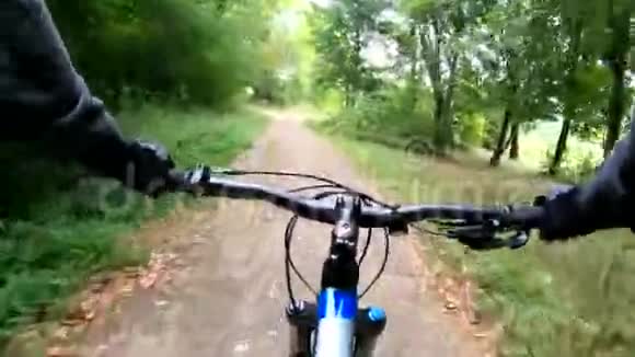 MTB自行车在夏季行驶视频的预览图