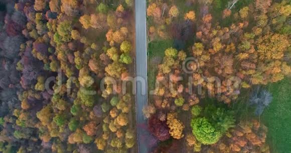 在五彩缤纷的秋林中汽车在公路上行驶时的头顶鸟瞰图秋橙绿黄红的树林视频的预览图