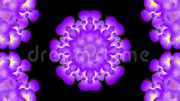 万花筒带紫罗兰花视频的预览图