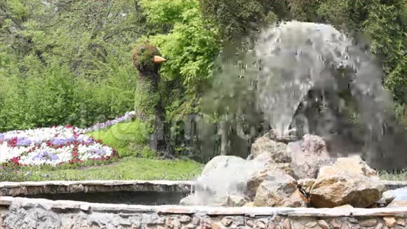 带喷泉的公园视频的预览图