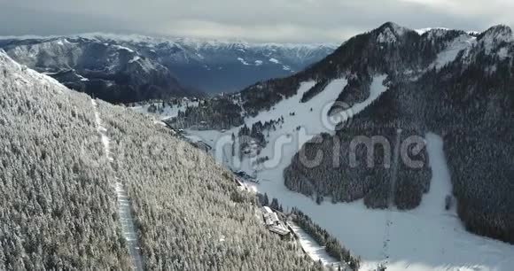 降雪后空中无人机可以看到覆盖着白雪的树林意大利阿尔卑斯山视频的预览图