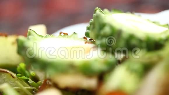蔬菜苦瓜上的蚂蚁视频的预览图