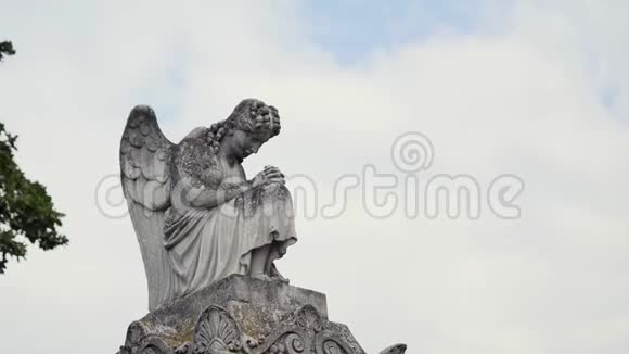 墓地里的天使雕像视频的预览图
